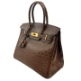 hermes-ostrich-brown-25-birkin-2